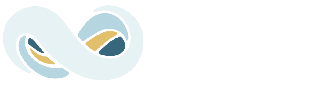 NetSuite (transparent)_yhsdy-1