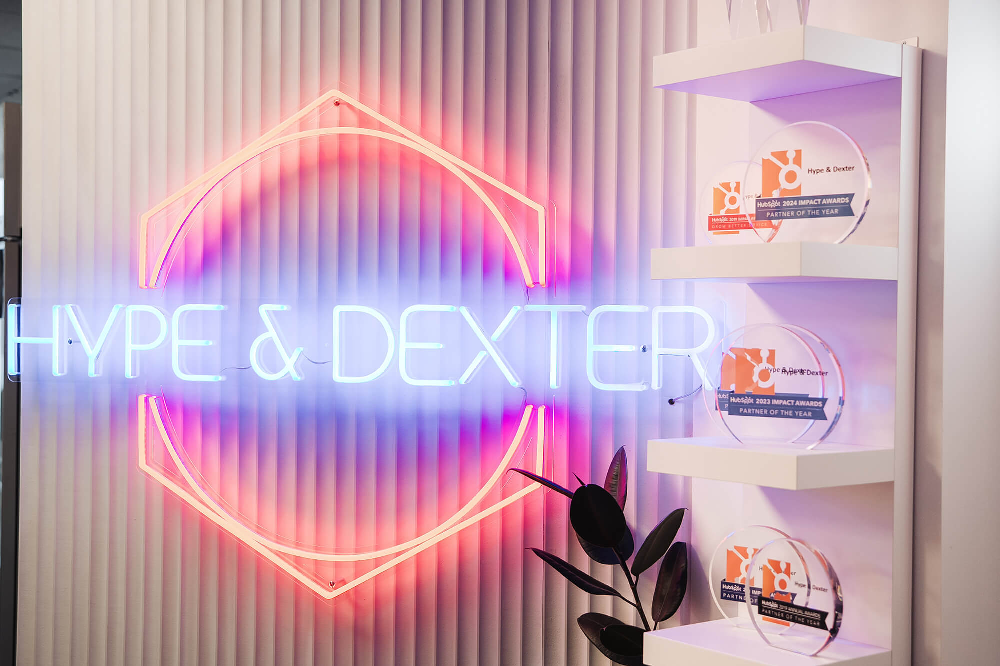 hype-and-dexter-photo-1